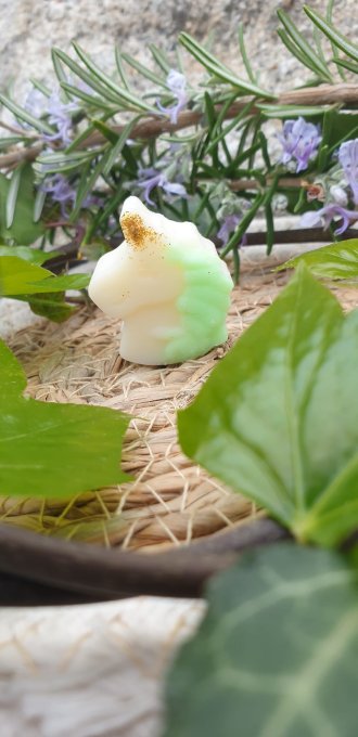 Mûre/ Myrtille