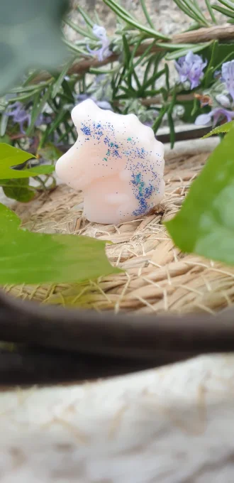 Fondants parfumés 10g