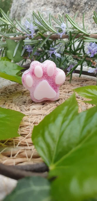 Mûre/ Myrtille